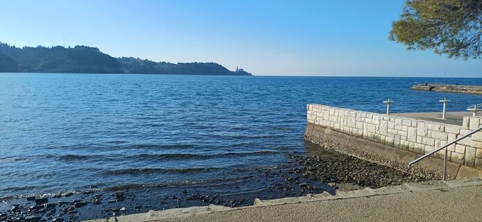 Fotografie z Janez Perko na trase