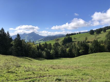 Fotografija s spletne strani Peter Bolliger na poti