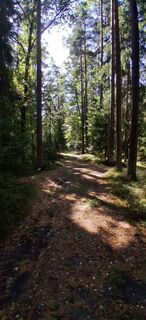 Foto de Dreas Reyem a lo largo del recorrido