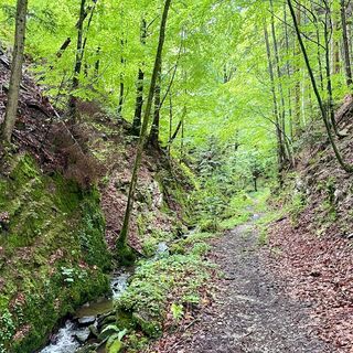 Sulzbachtrail