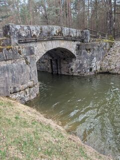Foto de Speedy Gonzales a lo largo del recorrido