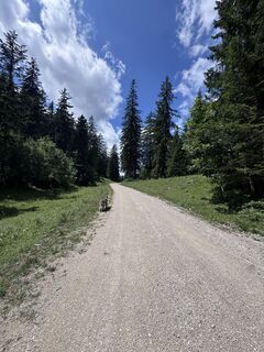 Fotografie z Anja Aulich na trase