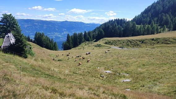 Fotografija s spletne strani Enrico Rau na poti
