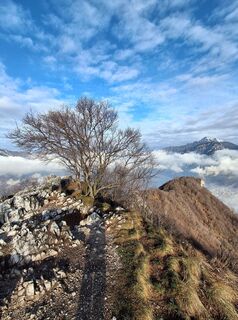 Foto de Marco Pezzuolo a lo largo del recorrido