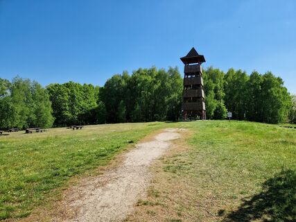 Zdjęcie z Szomi Balázs wzdłuż trasy