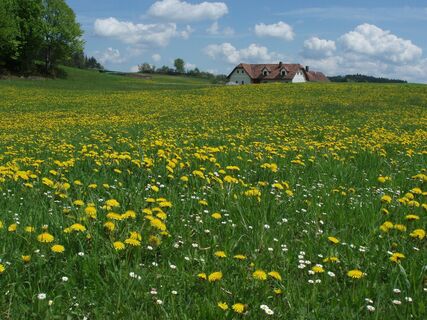 Weltkugel-Wanderweg