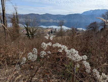 Fotografie z H&M na trase