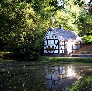 Alter Backes am Pfarrweiher Oberholzklau