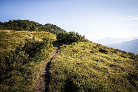 Auf dem Weg zur Kobinger Hütte_Kirchberg_Kitzbüheler Alpen_Mathäus Gartner (2018)_FULL19.jpg