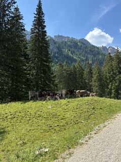 Foto von samgrommes entlang der Tour
