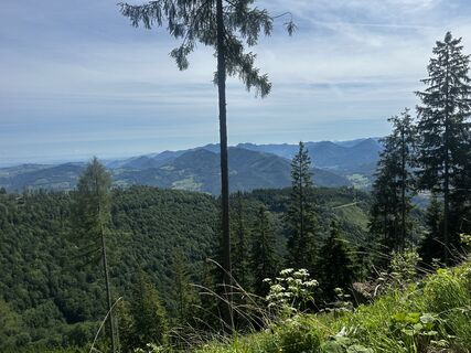 Photo de Peter Endl le long du parcours