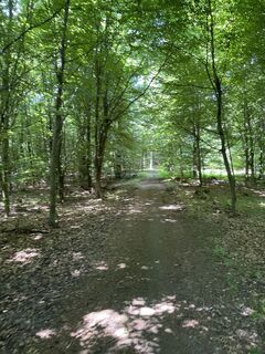 Fotografie z Andrii Novoshynskyi na trase