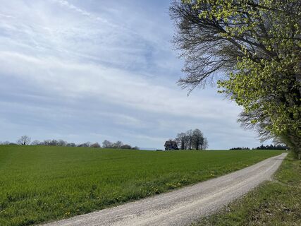 Photo de Francesco f Ernst le long du parcours