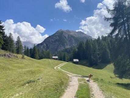 Foto von Dagmar Gaertner entlang der Tour