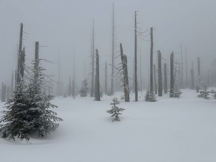 Foto von Dani Geiger / Natur_erleben_dg entlang der Tour