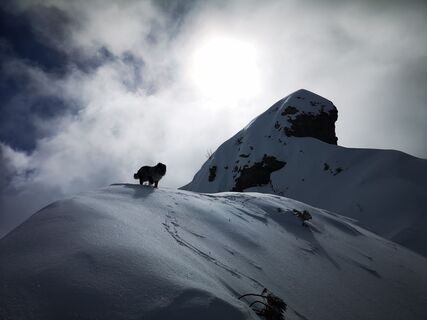 Foto von Fulgido Ferrari entlang der Tour