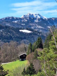 Photo de Mimi le long du parcours