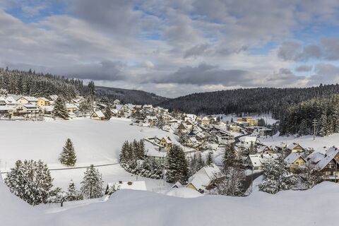 Eisenbach im Winter