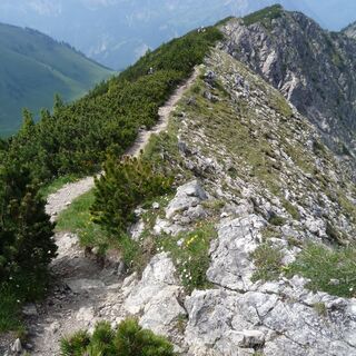Der schmale Weg führt zum Iseler