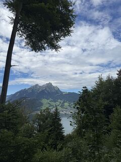 Fotografija s spletne strani Marco Rodzynek 2 na poti