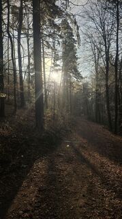 Foto von Mateja Rečnik entlang der Tour