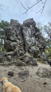 Fotografia z Claudia Maurer na trase