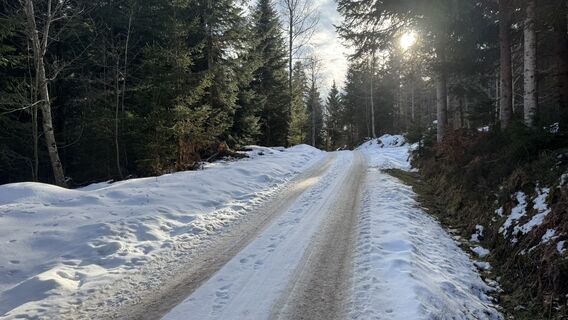 Foto von peter_oe entlang der Tour
