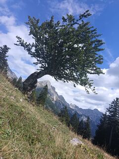 Photo de Edith K. le long du parcours