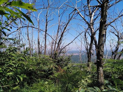 Photo de Suse Grass le long du parcours