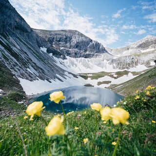 Wildsee