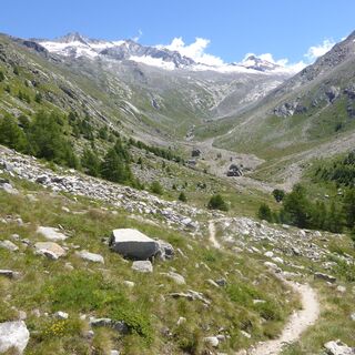 Abstieg zur Almagelleralp