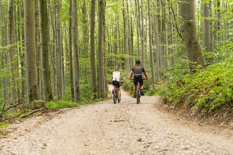 MTB Wienerwald