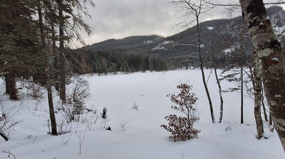 Foto von Regina Fleischmann entlang der Tour