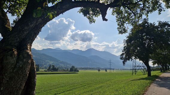 Fotografia z Utassy Tóth Johanna na trase