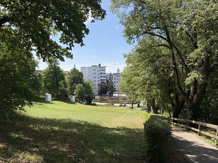 Foto de Schaali a lo largo del recorrido