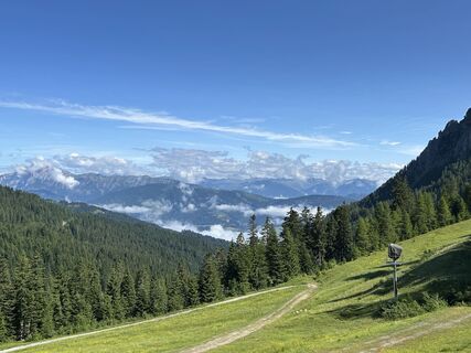 Fotografija s spletne strani tjiong na poti