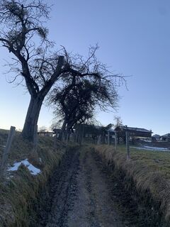 Photo de Christian Moll le long du parcours