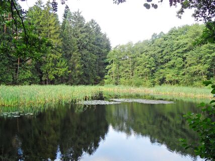 Schwarzer Teich, Luchsenburg