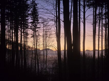 Fotografia z TwilightTea na trase