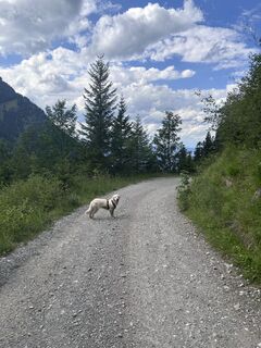 Foto von Bene Schadel entlang der Tour