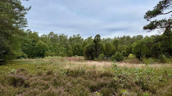 wanderweg-center-parcs-bispingen (3).jpg
