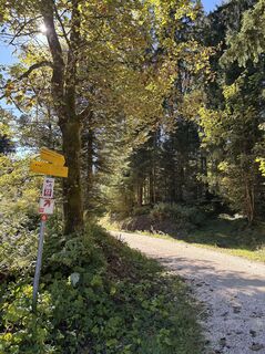 Foto von Heinz Sperl entlang der Tour