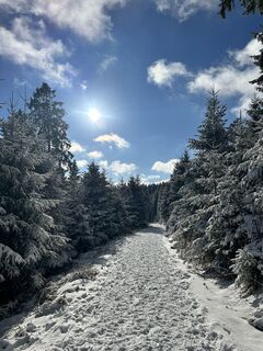 Fotografie z Felicitas Wellhäußer na trase