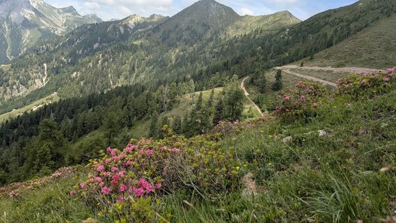 Foto von Margherita Polini entlang der Tour