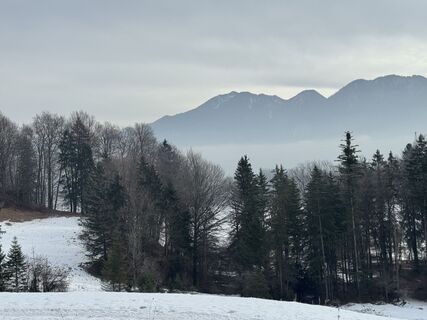 Foto von Denise Miller entlang der Tour
