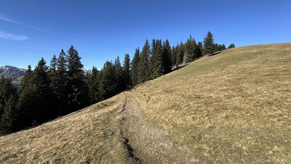 Foto von peter_oe entlang der Tour