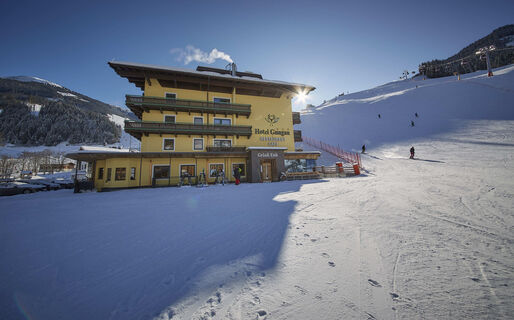Hotel Gungau
