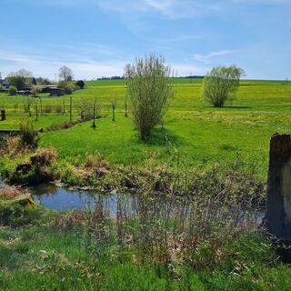 Oberkoskauer Mühlenweg - Wanderung zur Mittelmühle