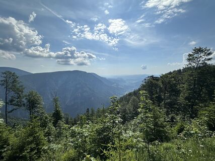 Foto von Fuchsi entlang der Tour