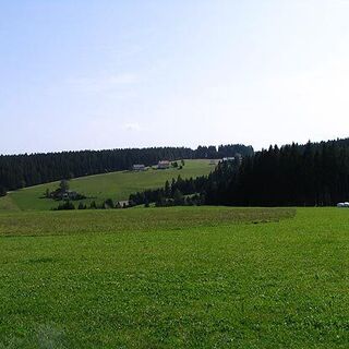 Grüne Wiesen, schwarze Wälder.
